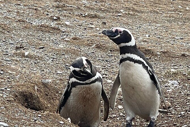 Magdalena Island Navigation - The Sum Up