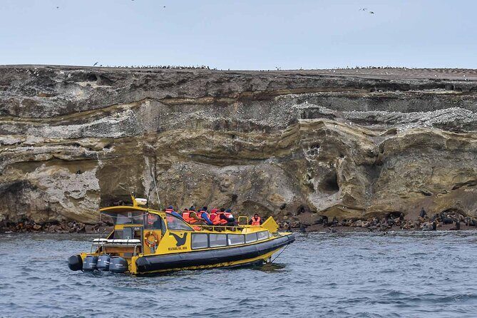 Magdalena Island Penguin Boat Tour and Marta Island - Discover the Magellanic Penguins and Wildlife of Punta Arenas with the Magdalena Island Penguin Boat Tour and Marta Island