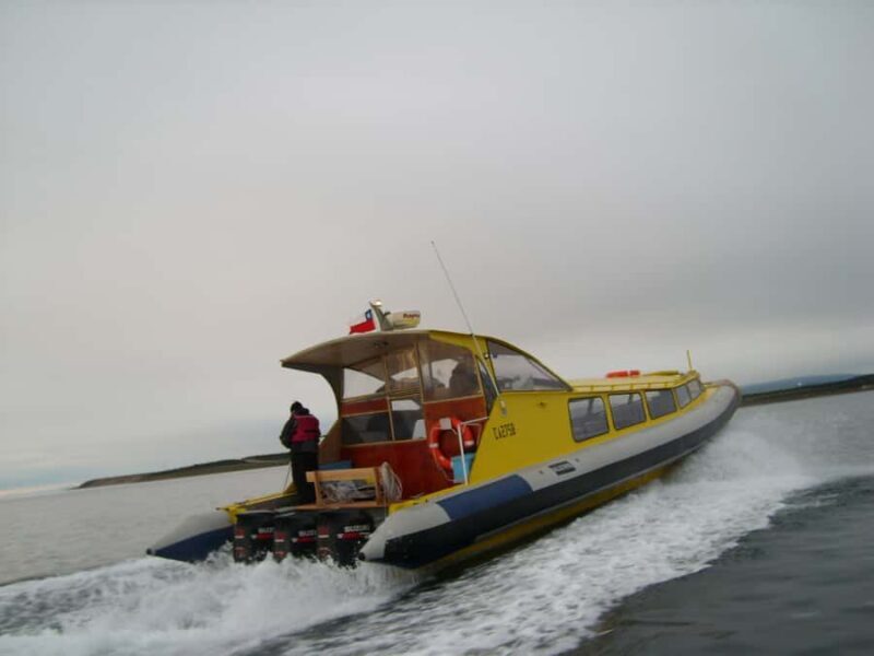 Magdalena Island Penguin Tour by Boat from Punta Arenas - Who is this tour for?