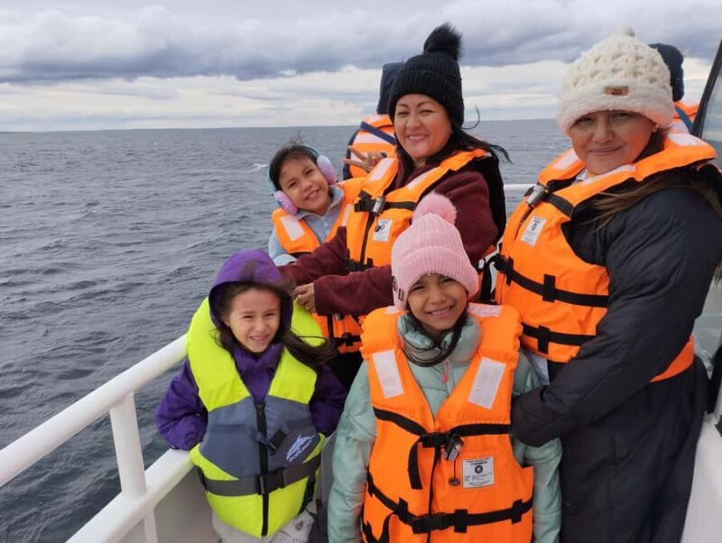 Magdalena Island: Walk with the penguins - Magdalena Island: Walk with the Penguins — An Authentic Encounter with Chile’s Iconic Fauna