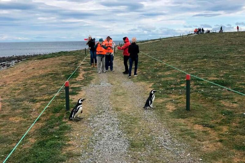 Magdalena Island: Walk with the penguins - What’s Included and What’s Not