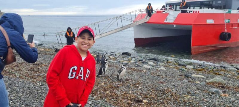 Magdalena Island: Walk with the penguins - Authentic Feedback and Real Experiences