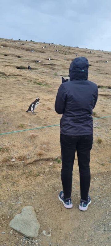 Magdalena Island: Walk with the penguins - FAQ about the Magdalena Island Penguin Tour