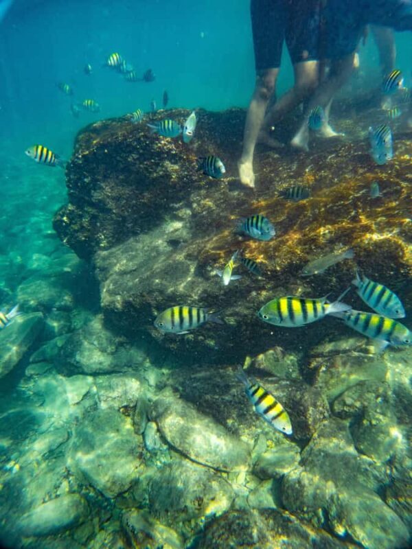 Magdalena: Tayrona Park Cruise with Snorkeling & Beaches - Practical Details and Additional Insights