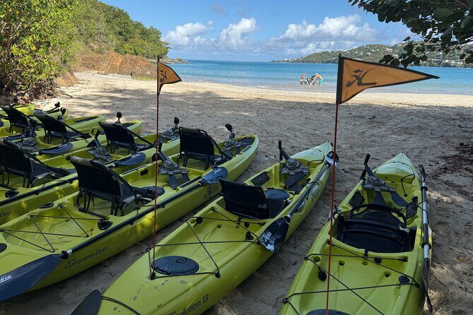 Magens Bay Nature Walk & premium hands-free Hobie Kayak Adventure - Exploring Magens Bay: An Authentic Caribbean Experience