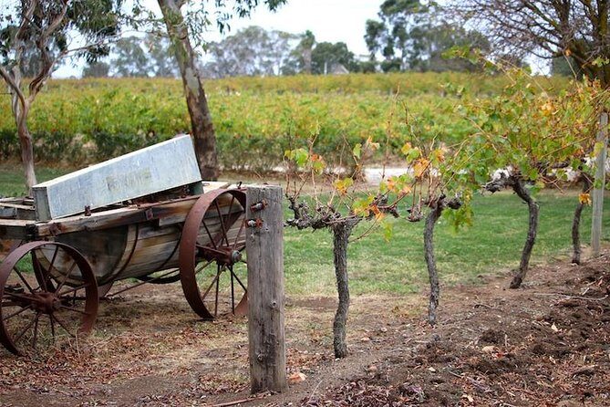 Maggie Beer Farm - Barossa Valley Regional Tour - An In-Depth Review of the Maggie Beer Farm - Barossa Valley Tour