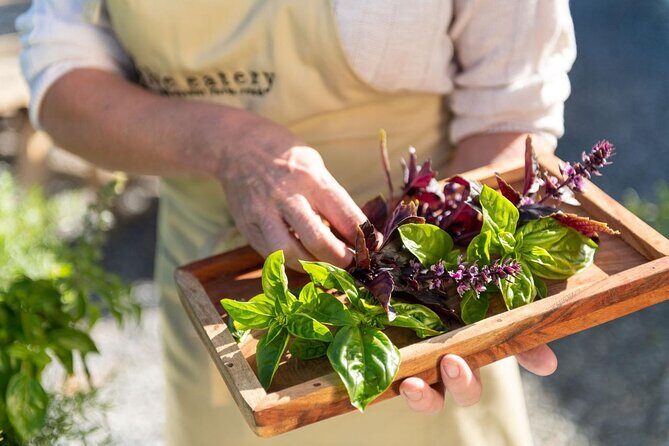 Maggie Beer's Farm Cooking School and Seasonal Lunch - An In-Depth Look at the Maggie Beers Farm Cooking School Experience