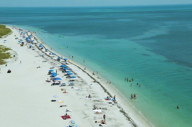 Magic Air Tours: Private Luxury Flight over Miami Beach - Key Points