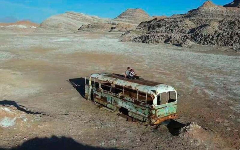 Magic Bus Adventure: Explore Vallecito & Dinosaur Valley - Who Should Consider This Tour?