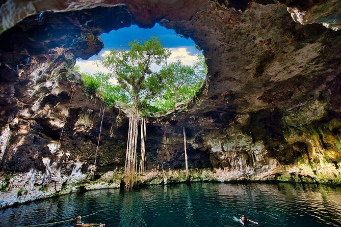 Magic Cenotes of Yucatan from Merida - Experience the Magic of Yucatans Cenotes from Merida