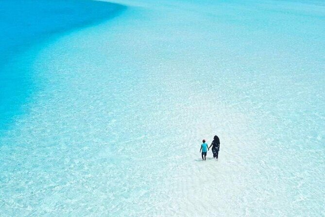 Magic Island Holbox! Experience From Cancun & Playa del Carmen - A Deep Dive into the Tour: What to Expect