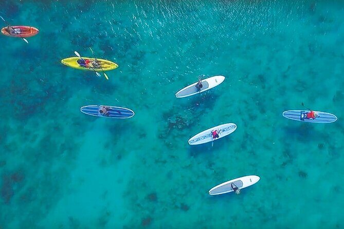 Magic Mangrove Paddle in Beef Island Lagoon - What’s Included and What to Keep in Mind