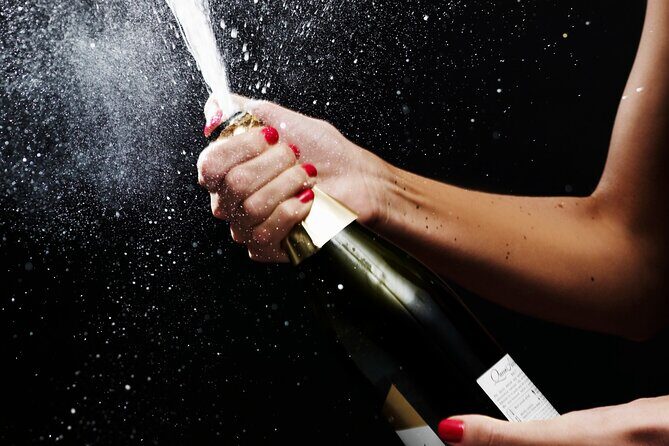 Magic Mike NON BUS Traverse City Old Mission Peninsula Wine Tour - Final Thoughts: Who Will Love This Tour?