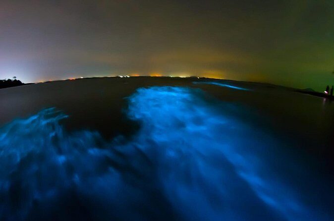 Magic Night in the Lagoon of Manialtepec Bioluminescence - Who Will Enjoy This Tour?