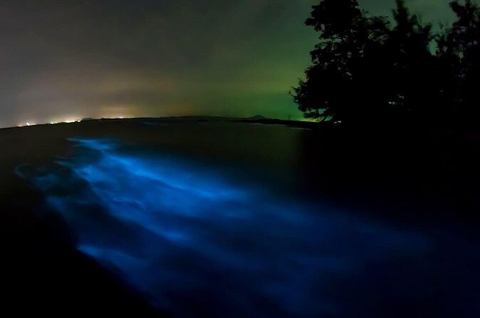 Magic Night in the Lagoon of Manialtepec Bioluminescence - Final Thoughts