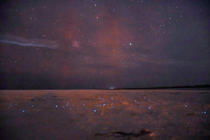 Magic Night of Stargazing and Bioluminescence - Discover the Magic Night of Stargazing and Bioluminescence in Isla Holbox