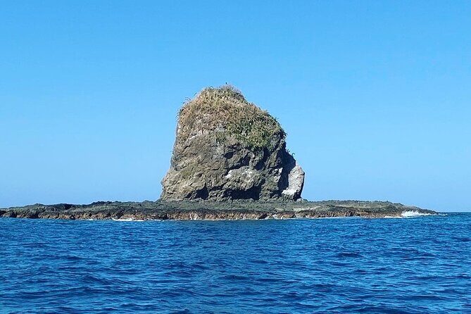 Magic of the rainforest - An In-Depth Look at the Experience