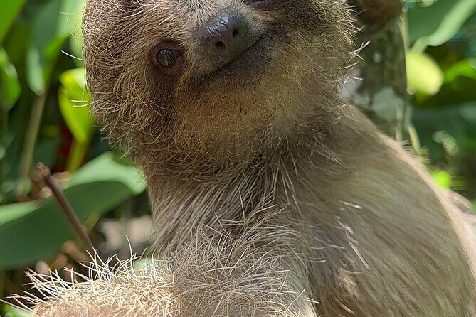 Magic of the rainforest - Authentic Experiences and Guide Expertise