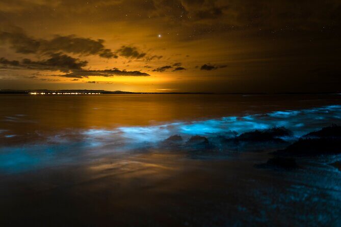 Magical Bioluminescent Night Dive - The Sum Up: Is This Tour Worth It?