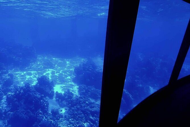Magical Boat Tour with Underwater Cabin in Bora Bora! - Discover Bora Bora’s Marine Wonders from a Comfortable Underwater Cabin