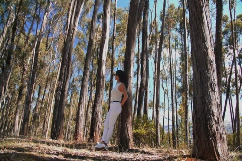 Magical Cusco City Tour - What You Can Expect from the Tour