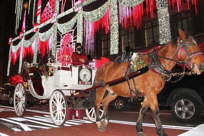 Magical Evening Horse-Drawn Carriage through NYC (65 min) - Who Will Love This Tour?