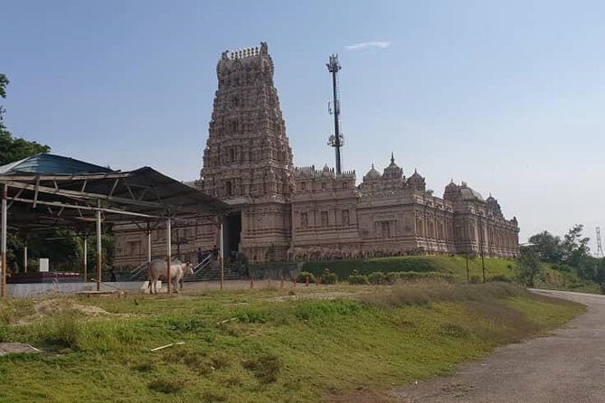 Magical Fireflies Tour - Who Should Consider This Tour?