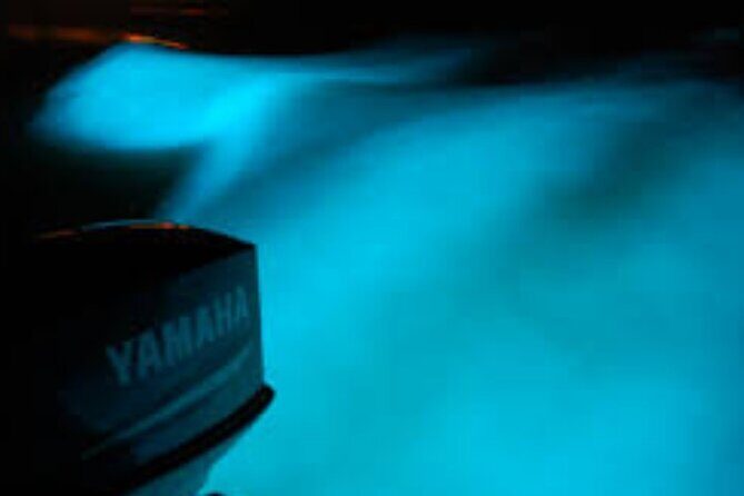 Magical Luminous Lagoon Private Tour - Final Thoughts