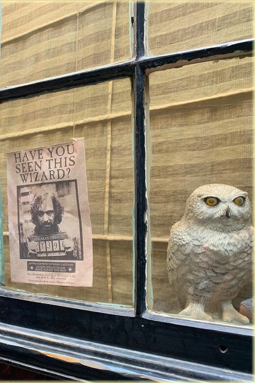 Magical Movies: London Harry Potter Tour - Final Thoughts: Is It Worth It?
