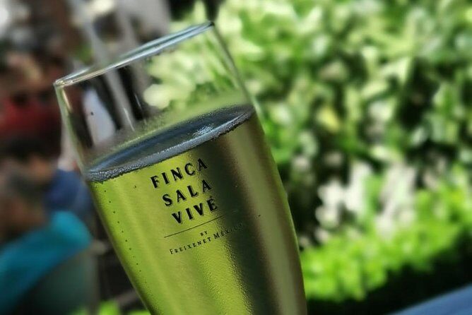 Magical Nature - Discover the natural beauty and flavors of central Mexico with the Magical Nature tour, a well-curated day that combines breathtaking scenery, authentic local tastes, and engaging guides. For $105 per person, youll spend 6 to 7 hours exploring Bernal, visiting Freixenet Mexico’s underground cellar, touring Vinedos Azteca, and sampling artisanal cheeses in Tequisquiapan. With pickup included and a small group of no more than 14 travelers, this tour offers a relaxed, personalized experience—perfect for those looking to escape the city’s hustle and reconnect with Mexico’s natural and culinary traditions.