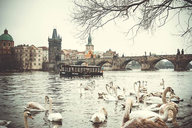 Magical Prague Private Half-Day Tour - A Detailed Look at the Tour Experience