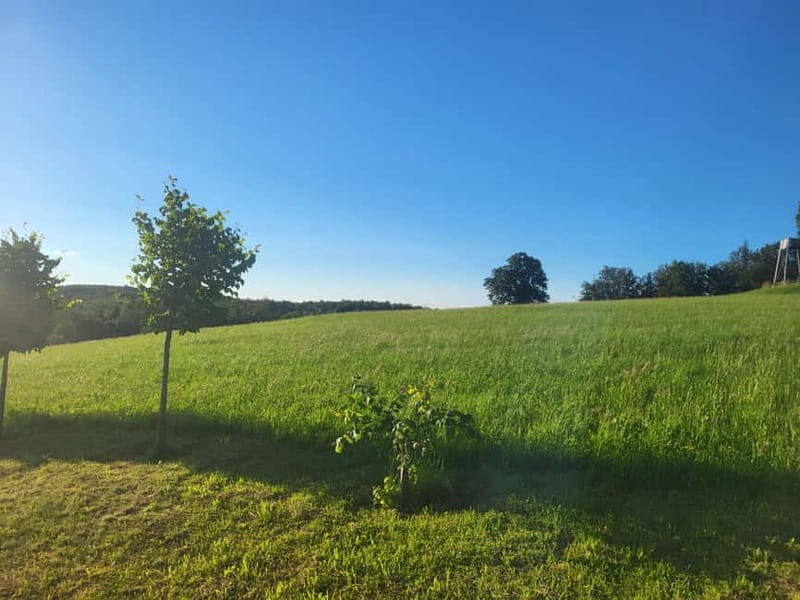 Magical Stargazing & uemberk Medieval castle tour inc. BBQ - What’s Included and What’s Not