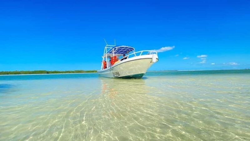 Magical Sunset at Sea off Holbox Island VIP + Lobster & Guacamole - A Magical Sunset Experience Off Holbox Island: VIP Lobster & Guacamole Tour