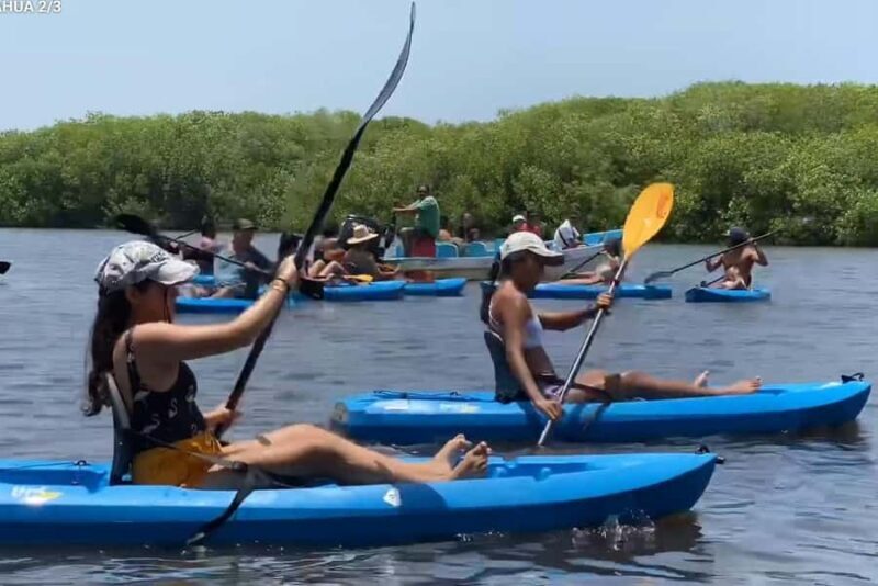 Magical Sunset Kayak Ride  Chacahua Lagoon with Cheese and Wine - Key Points