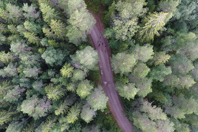 Magical Taiga Forest Hike with Lunch and Transportation - Final Thoughts