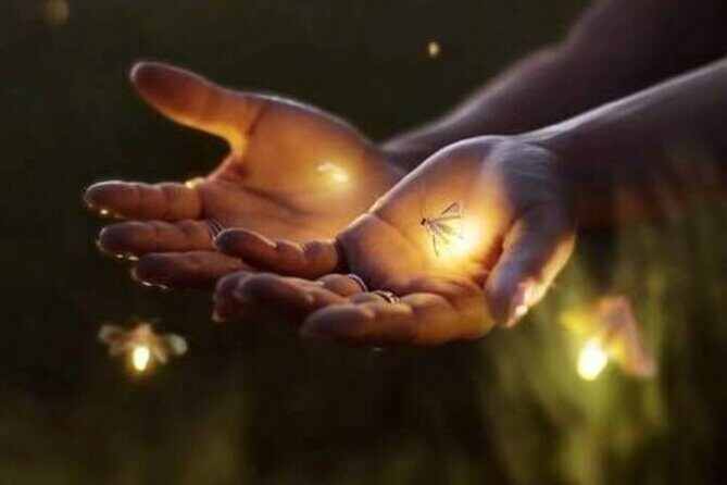 Magical Village Tour & Private Dinner with Fireflies in Bali - Exploring the Experience in Detail