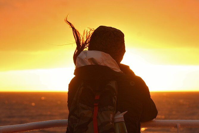 Magical Whales in the Midnight Sun | from Reykjavik - An In-Depth Look at the Midnight Sun Whale-Watching Tour