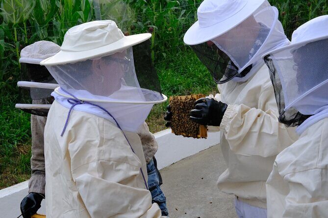 Magical World of Beekeeping on São Miguel Azores Private Tour - Who Should Consider This Tour?