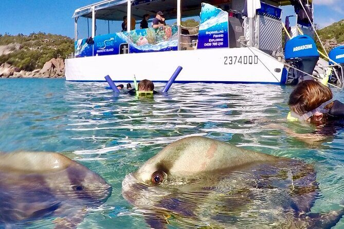 Magnetic Island Discovery Tour with Snorkeling & Paddle Boarding - Authentic Reviews & Experiences