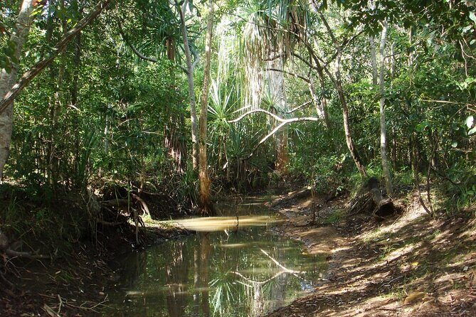 Magnetic Island: West Coast Eco Adventure - The Sum Up
