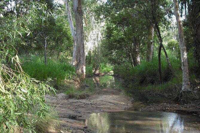 Magnetic Island: West Coast Eco Adventure - FAQ
