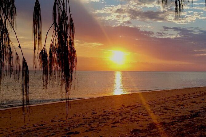 Magnetic Island: West Point Sunset Safari - Key Points