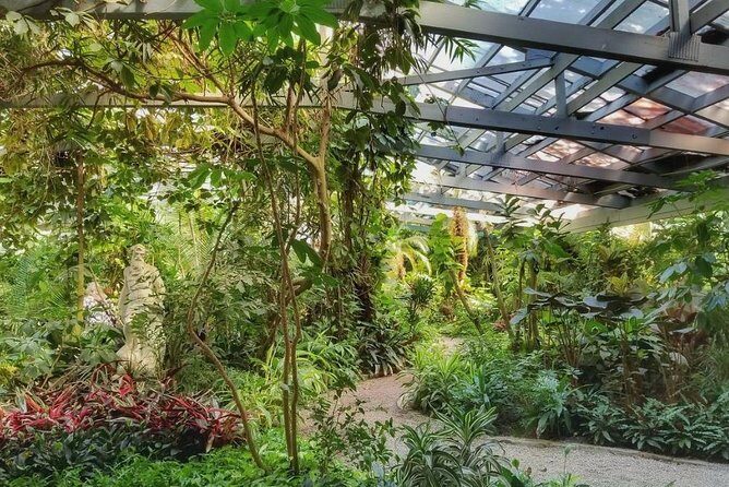 Magnolia Plantation Admission & Tour with Transportation from Charleston - A Deep Dive into the Tour Itself