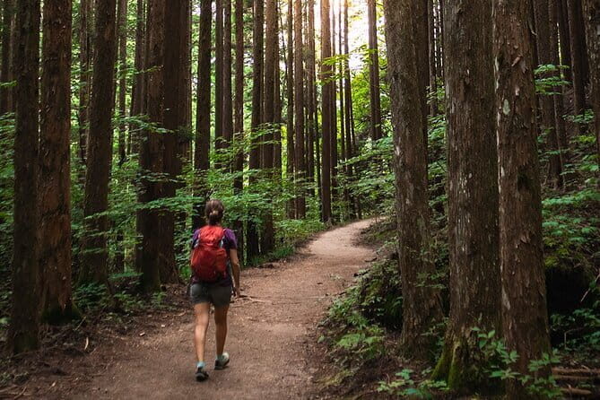 Magome to Tsumago Hiking Tour from Nagoya - Key Points