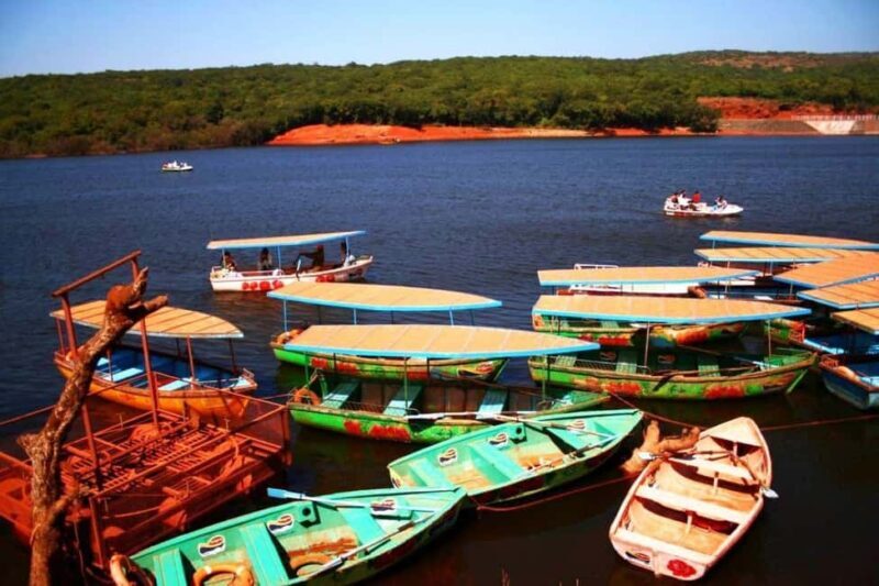 Mahabaleshwar Express Tour: Half-Day Highlights - What You Can Expect from the Tour