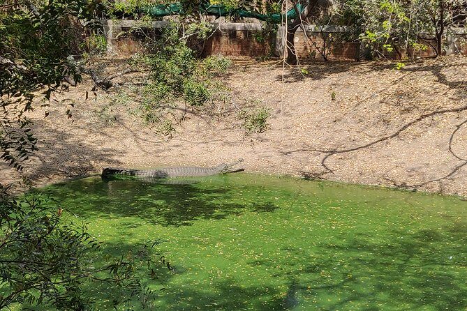 Mahabalipuram and Madras Crocodile bank trip from Chennai wtih Lunch,Transport - Who Will Love This Tour?