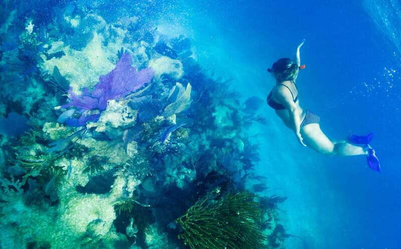 Mahahual: Snorkel Tour in Reef Lagoon - Key Points
