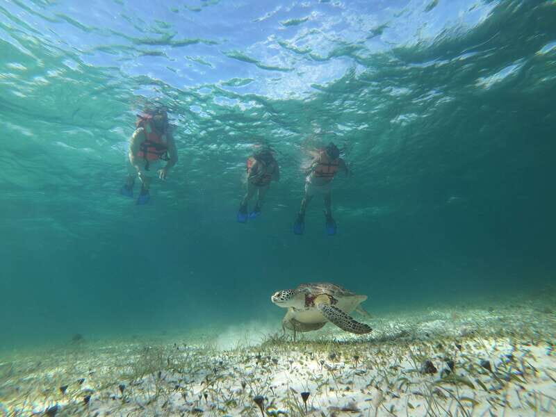 Mahahual: Snorkel Tour in Reef Lagoon - The Practicalities: Pricing, Group Size, and What’s Included