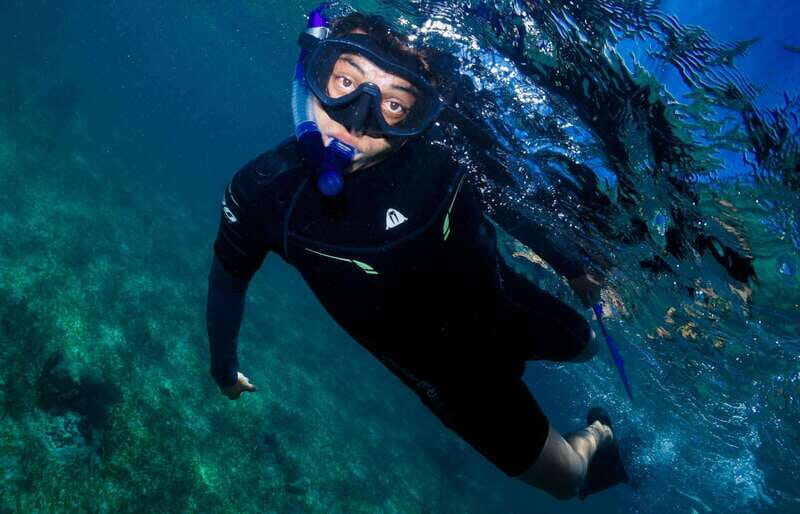 Mahahual: Snorkel Tour in Reef Lagoon - Who Is This Tour Best For?