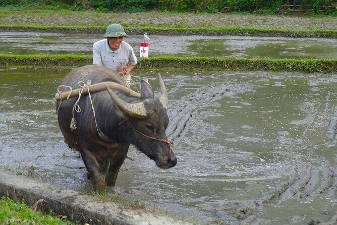 Mai Chau 1 Day: Cycle Through Peaceful Villages, Scenic Valleys - Who Will Love This Tour?